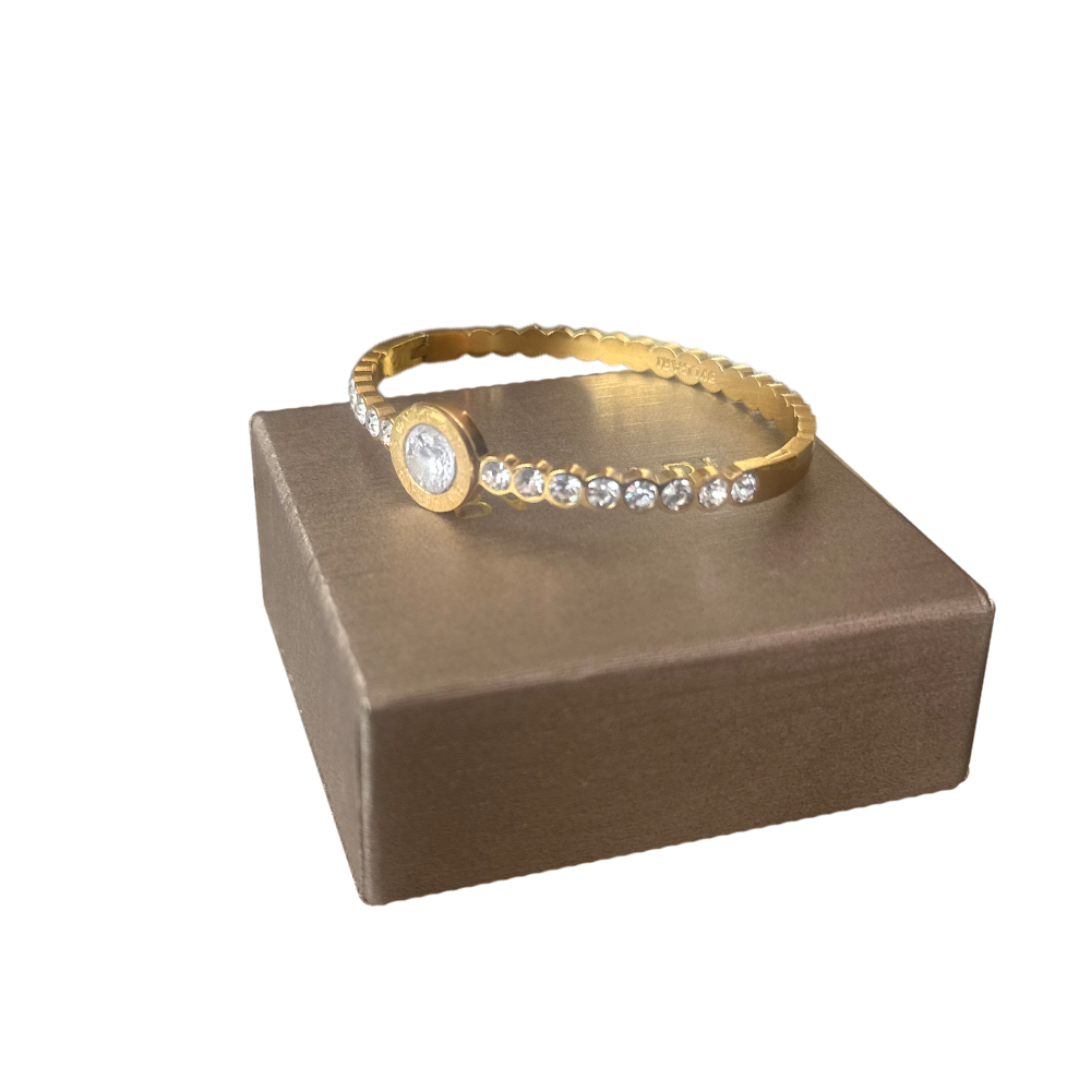 Bvlgari - Brazalete de Acero (Oro)