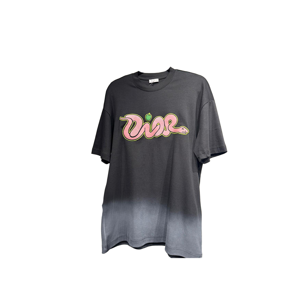 Dior - Kaws "Snake of the year" (Negra)